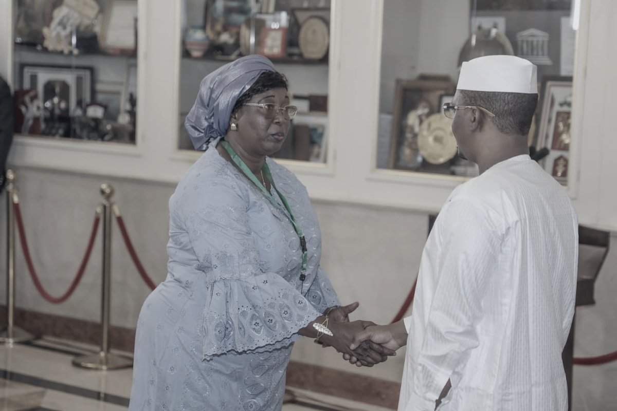 Sabine Djimouko dans l'exercice de ses fonctions institutionnelles, lors d'une audience officielle